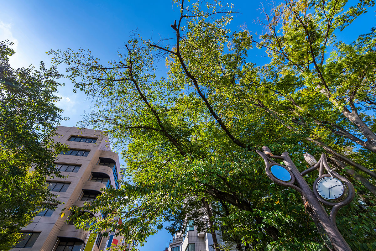 街のあちらこちらにふくろうのオブジェ