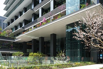 地域の省エネルギーに 貢献するオフィスビル