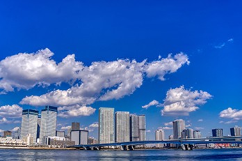 【中央区】1000坪以上確保できる物件