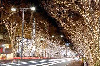 COVID-19によるハイストリートの 路面店舗への影響