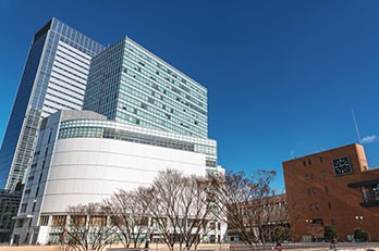 東北 - 市場動向と賃料相場　2024年12月期