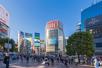 【渋谷駅・虎ノ門駅・六本木駅周辺】希少なランドマークビル分割対応ビルのご紹介