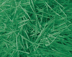 アジア不動産業界に おける廃棄物管理