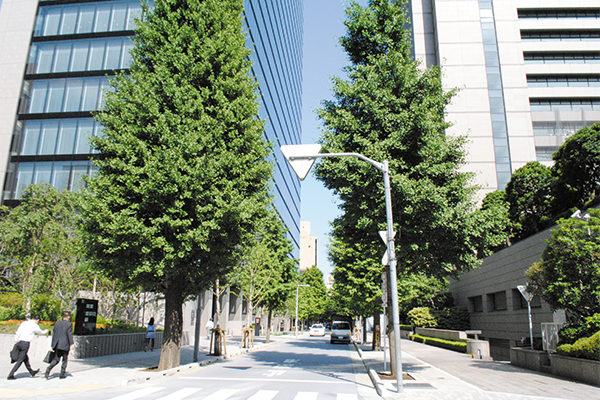 改修中のた三井住友海上駿河台ビル（右）と、今年2月に建替竣工した三井住友海上駿河台新館（左）