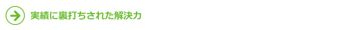 実績に裏打ちされた解決力