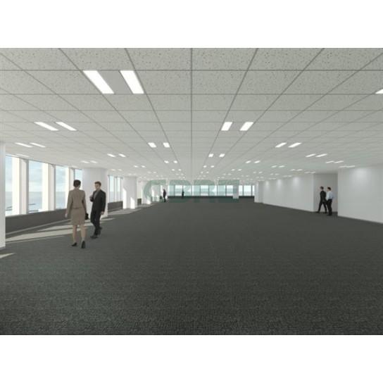【中古】 砂浜海岸の生態学/東海大学出版部/Ａ．Ｃ．ブラウン 砂浜海岸の生態学(A.C.Brown, A.Mclachlan 著 ; 須田有輔, 早川