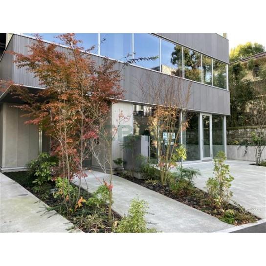 建物前面スペース