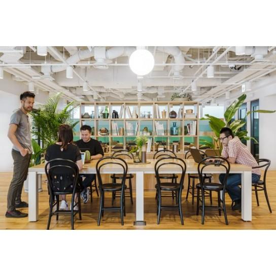 コミュニティエリア