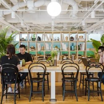 コミュニティエリア