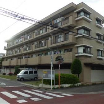 ハイム・ブルーネ