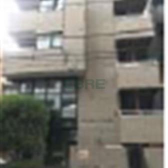 ウェルマン千鳥