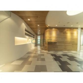 野村不動産銀座ビル11階 居抜物件