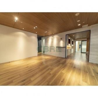 野村不動産銀座ビル12階 居抜物件