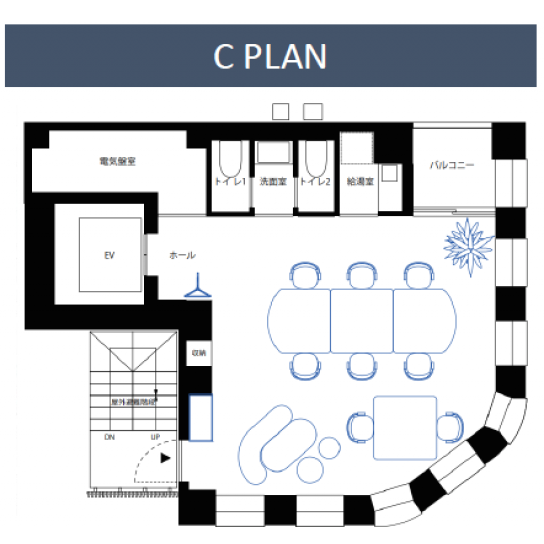 C PLAN