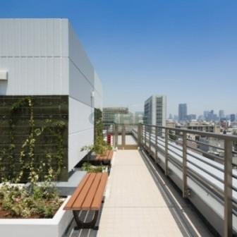 屋上庭園