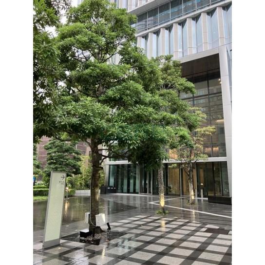 建物前面スペース