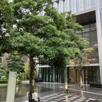 建物前面スペース