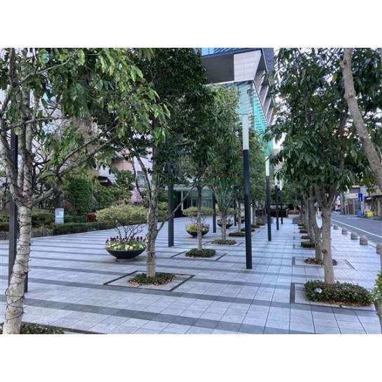 建物前面スペース