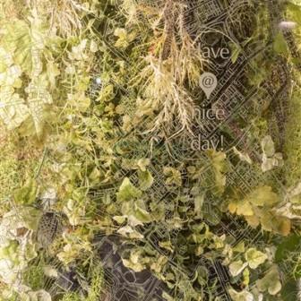 エレベーターホール