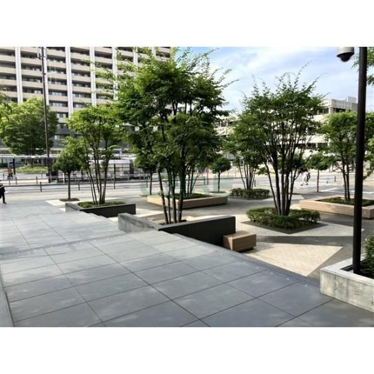 建物前面スペース