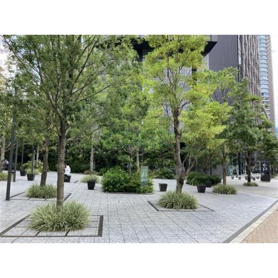 建物前面スペース