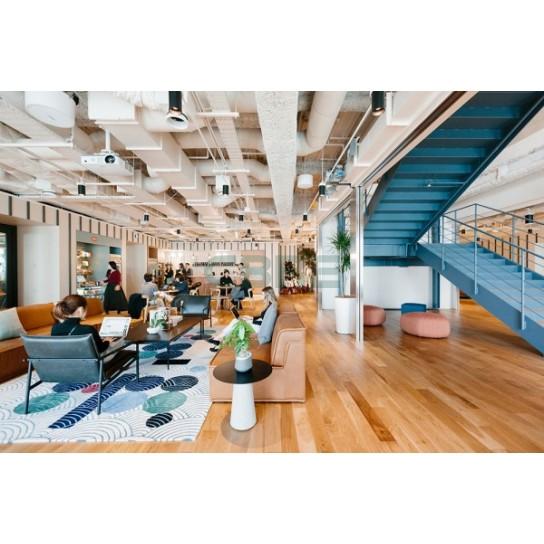 コミュニティエリア