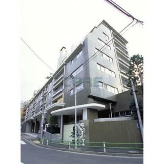 シャトー東洋南青山ビル