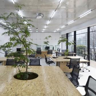 表参道洗練オフィス