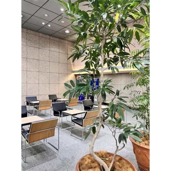 リフレッシュルーム