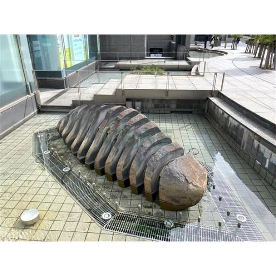 建物前面スペース