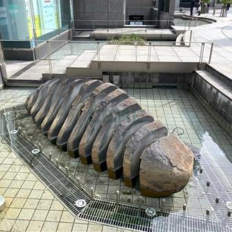 建物前面スペース