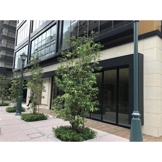 建物前面スペース